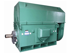 石河镇Y系列6KV高压电机